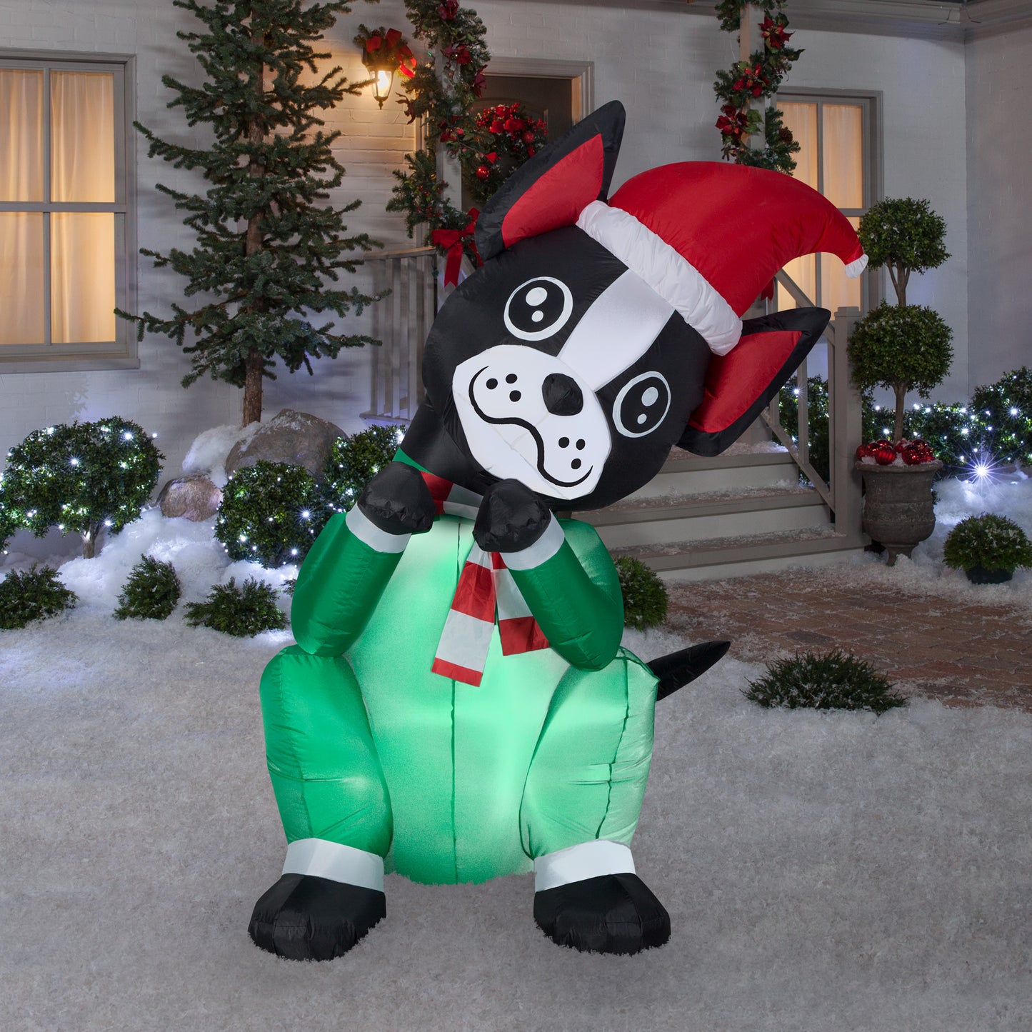 6' Animated Begging Dog Boston Terrier Christmas Inflatable lifestyle