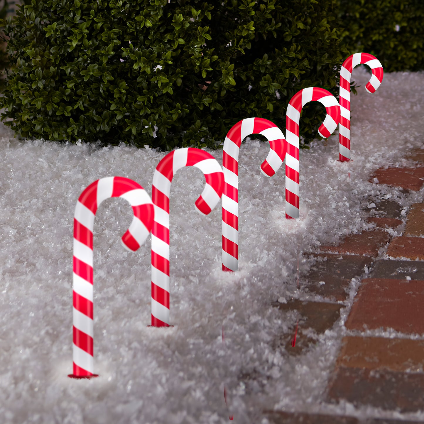Christmas Enlightened Pathways-ColorMotion-Deluxe-S/5-Candy Cane (Multi) lifestyle