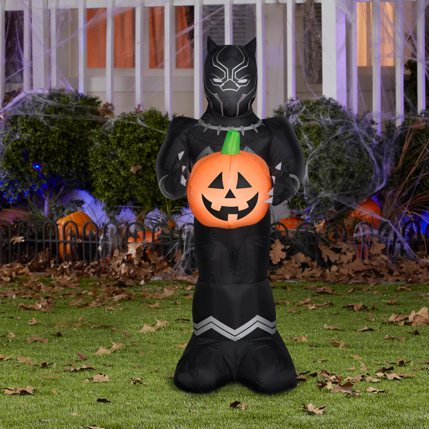 3.5' Black Panther w/ Pumpkin Halloween Inflatable lifestyle