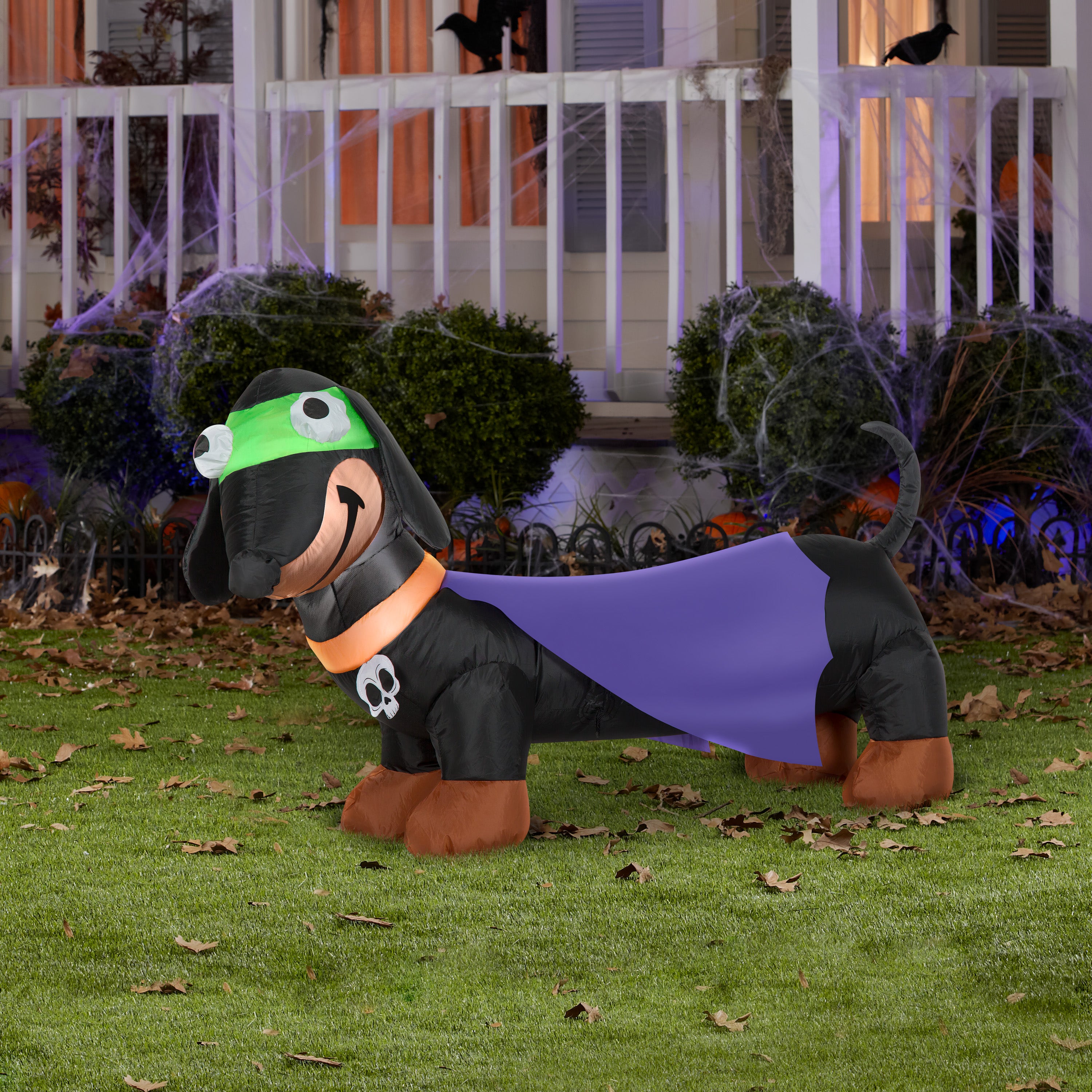Gemmy Airblown Weiner Dog Treater w/Cape and Skull Collar, 2.5 ft Tall, Multicolored
