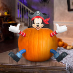 Load image into Gallery viewer, Gemmy Pumpkin Push Ins Mickey as Pirate Disney, orange
