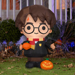 Load image into Gallery viewer, Gemmy Airblown Inflatable Harry Potter with Pumpkin, 3 ft Tall, black
