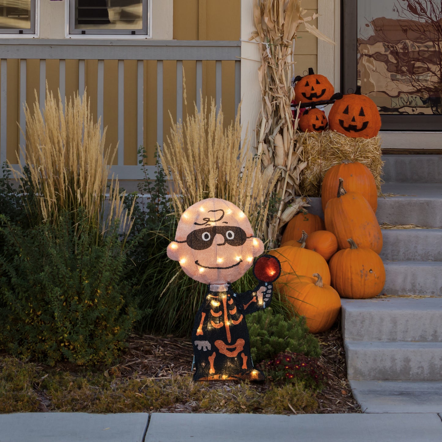 Peanuts 18in Peanuts LED PreLit Charlie Brown Bones lifestyle