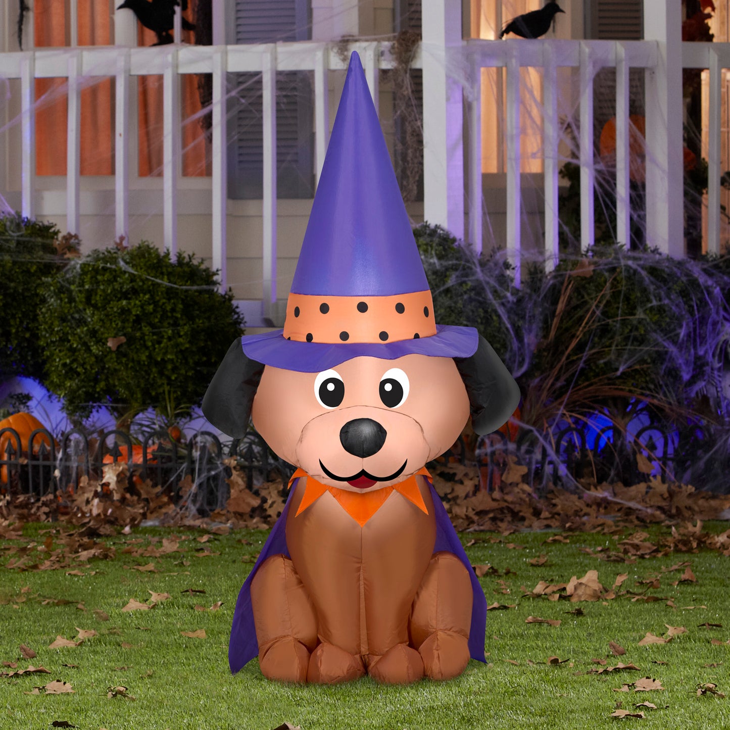 Halloween Inflatable Dog in Witch Hat, 4 ft Tall lifestyle