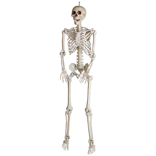 5ft Bone Skeleton w/Open Mouth