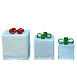 Load image into Gallery viewer, Peanuts 8 10 12in Peanuts PreLit LED Presents Printed Carolers, Blue
