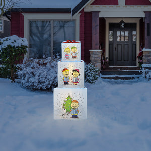 Peanuts Peanuts 30 24 18in LED Presents Printed  Carolers Skaters, Blue