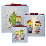 Load image into Gallery viewer, Peanuts Peanuts 30 24 18in LED Presents Printed  Carolers Skaters, Blue
