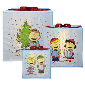 Peanuts Peanuts 30 24 18in LED Presents Printed  Carolers Skaters, Blue