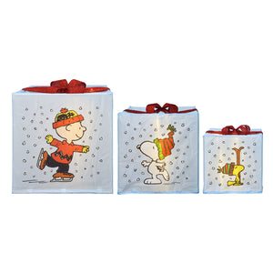 Peanuts Peanuts 30 24 18in LED Presents Printed  Carolers Skaters, Blue