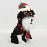 Load image into Gallery viewer, Everstar 22&#39;&#39; UL FLUFFY SCHNAUZER WITH HAT  SCULPTURE, Black
