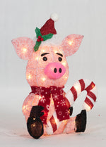 Load image into Gallery viewer, 20&quot; UL Glittering Thread Pig With Candy Cane Sculpture
