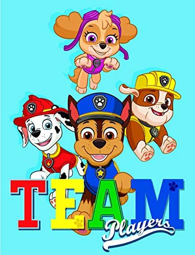 The Northwest Company PAW PATROL FANTASTIC TEAM