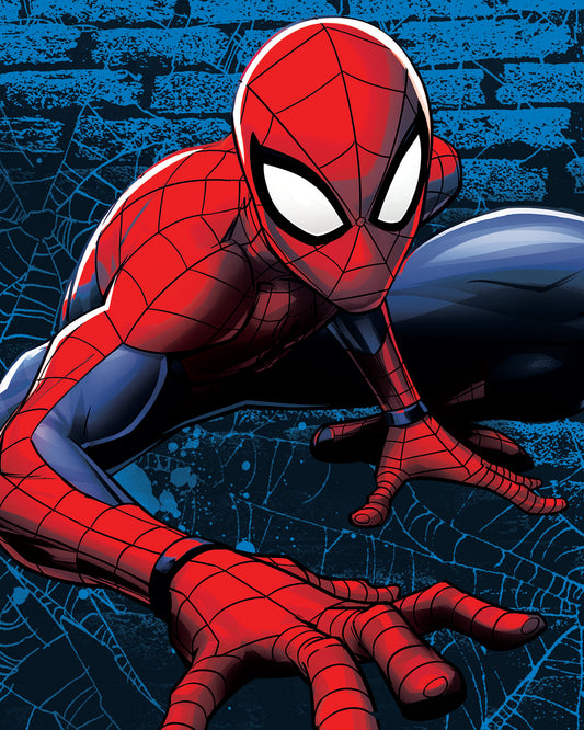 The Northwest Company SPIDERMAN WEB LINES