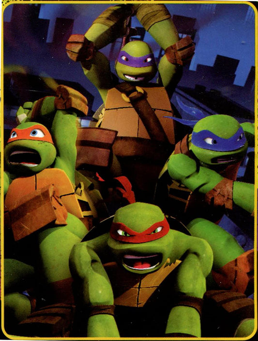 The Northwest Company TEENAGE MUTANT NINJA TURTLES GRUNGY NINJAS, Green