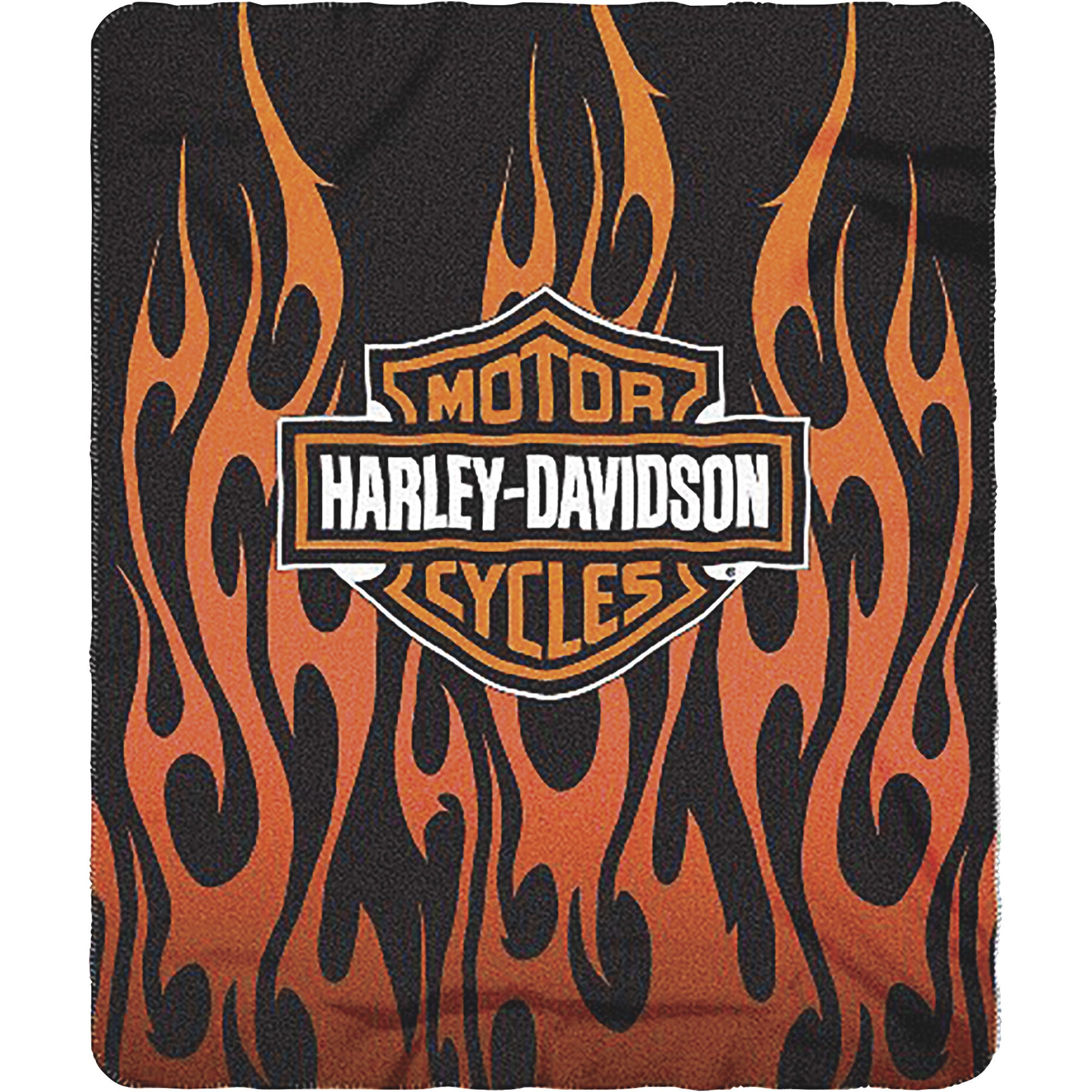 The Northwest Company HARLEY DAVIDSON FLAMES LOGO
