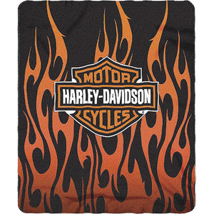The Northwest Company HARLEY DAVIDSON FLAMES LOGO
