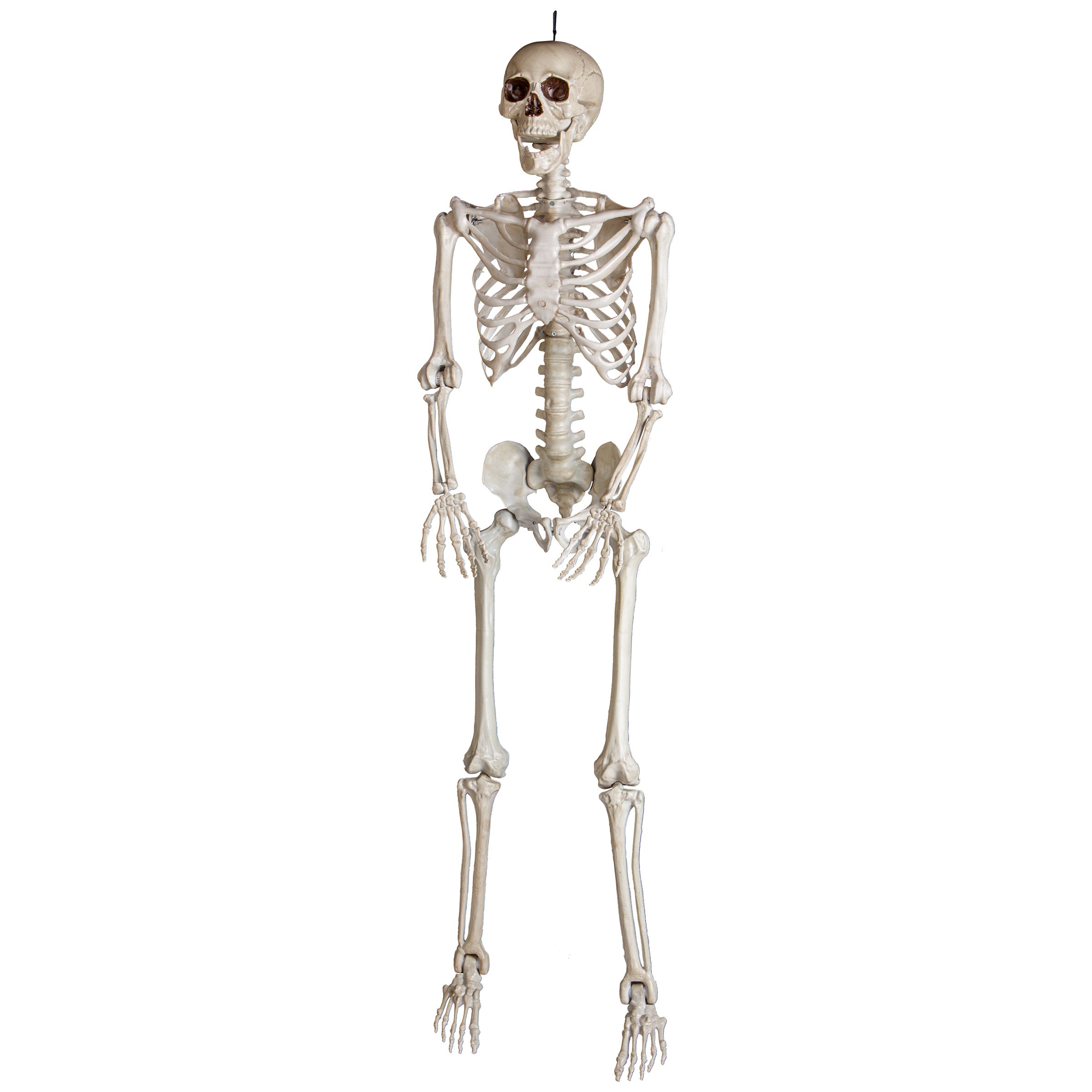 Gemmy 5ft Bone Skeleton w/Open Mouth