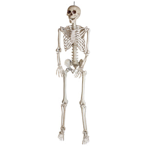 Gemmy 5ft Bone Skeleton w/Open Mouth
